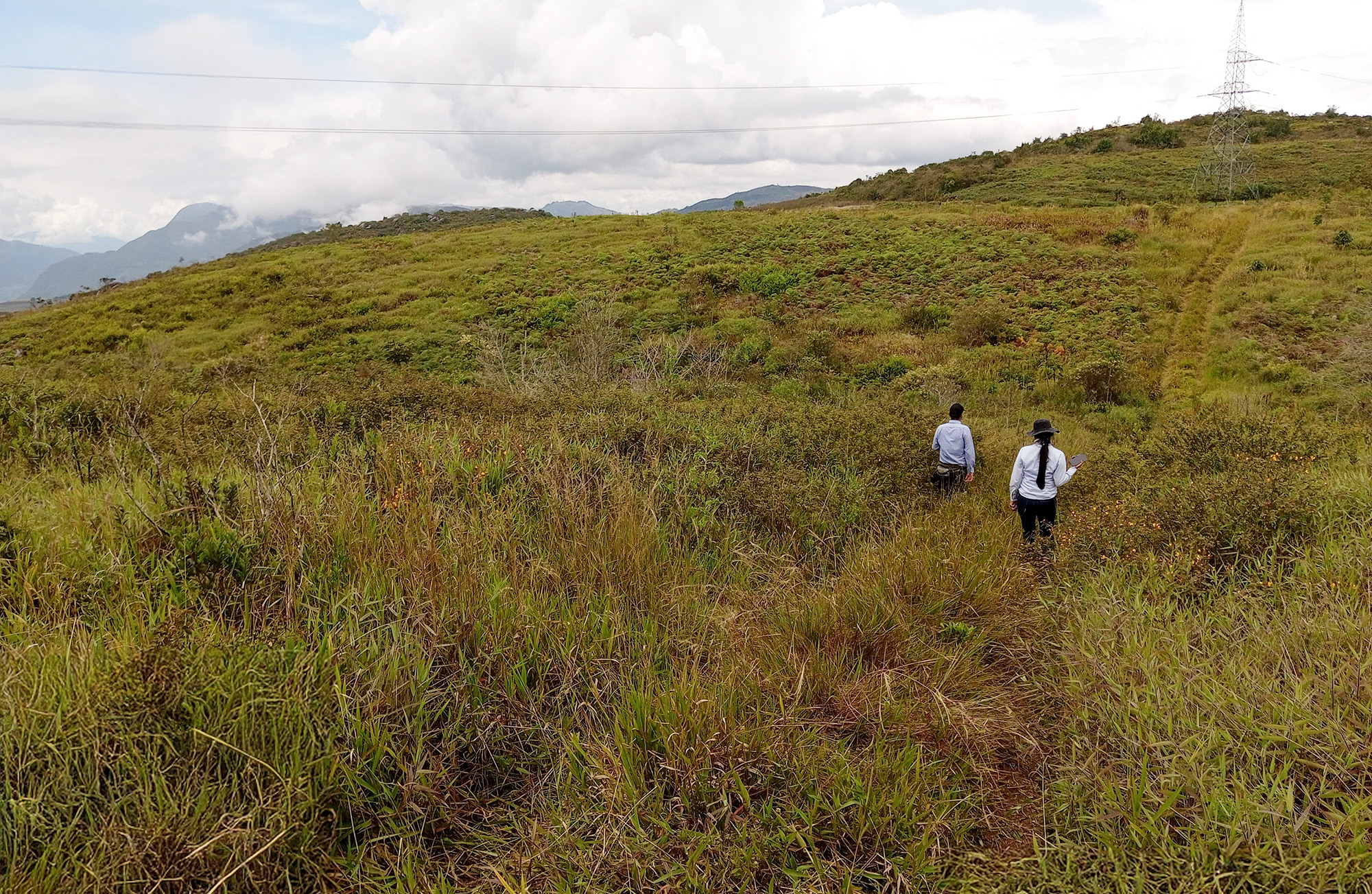 CDMB aprobó la licencia ambiental para la planta solar Charcos en Girón: energía limpia para más de 120 mil viviendas