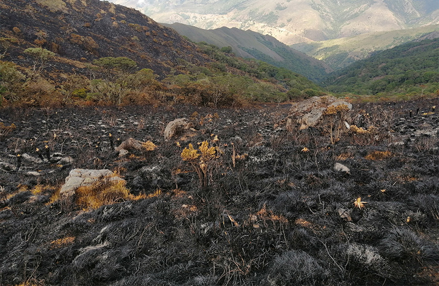 La CDMB emitió recomendaciones por posibles afectaciones por lluvias o incendios forestales