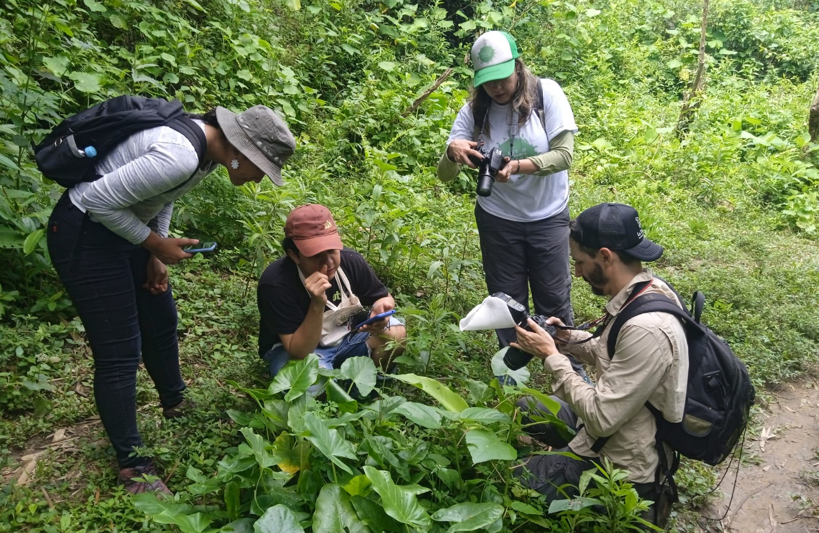 ¡Bucaramanga y su área metropolitana cumplieron el reto! Más de mil especies registradas en el City Nature  Challenge