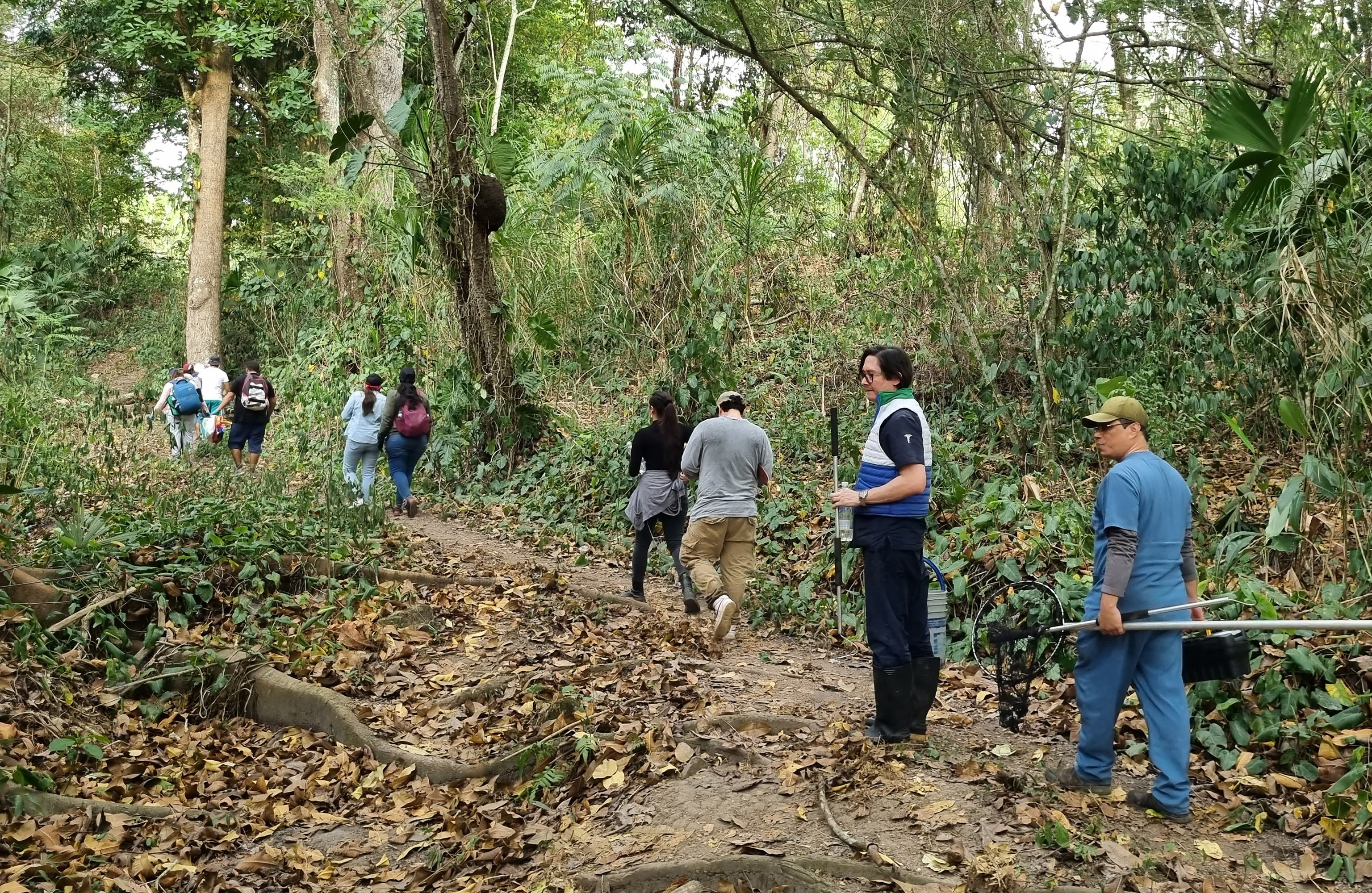 Proteger la fauna silvestre, es tarea de todos. Déjelos pasar.