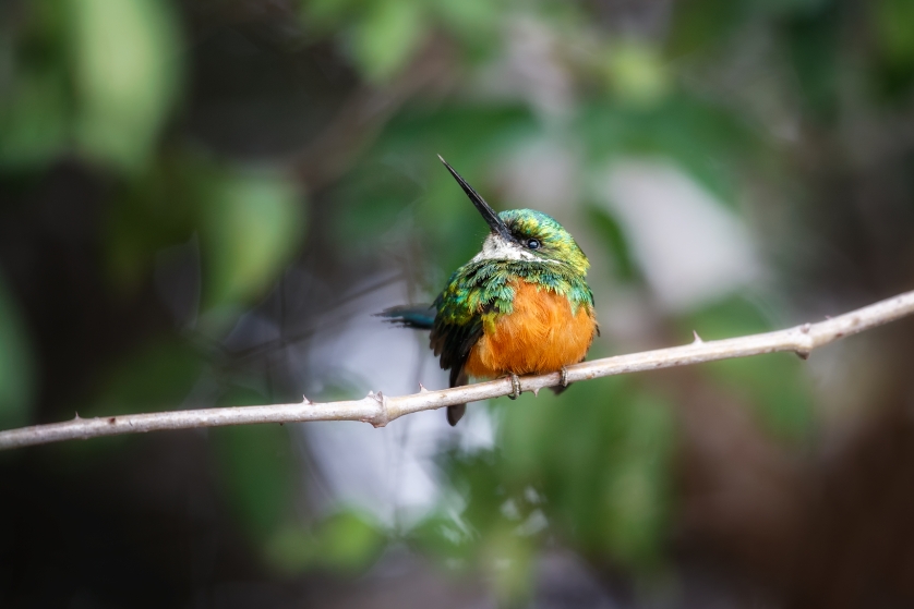 ¡Juntos Por La Biodiversidad!