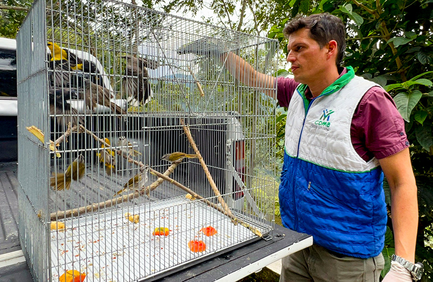   CDMB invita a “hacer las paces con la naturaleza” en Semana Santa y proteger la fauna y flora silvestre