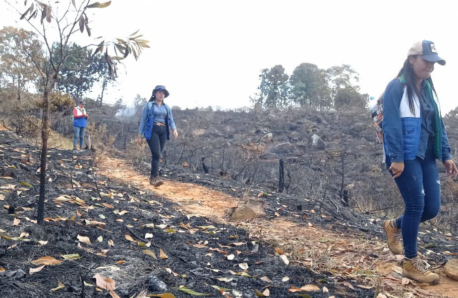 Incendio forestal en Girón afecta 45 hectáreas, la CDMB refuerza el llamado a la prevención